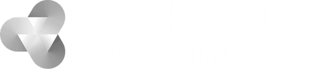 BlockVally